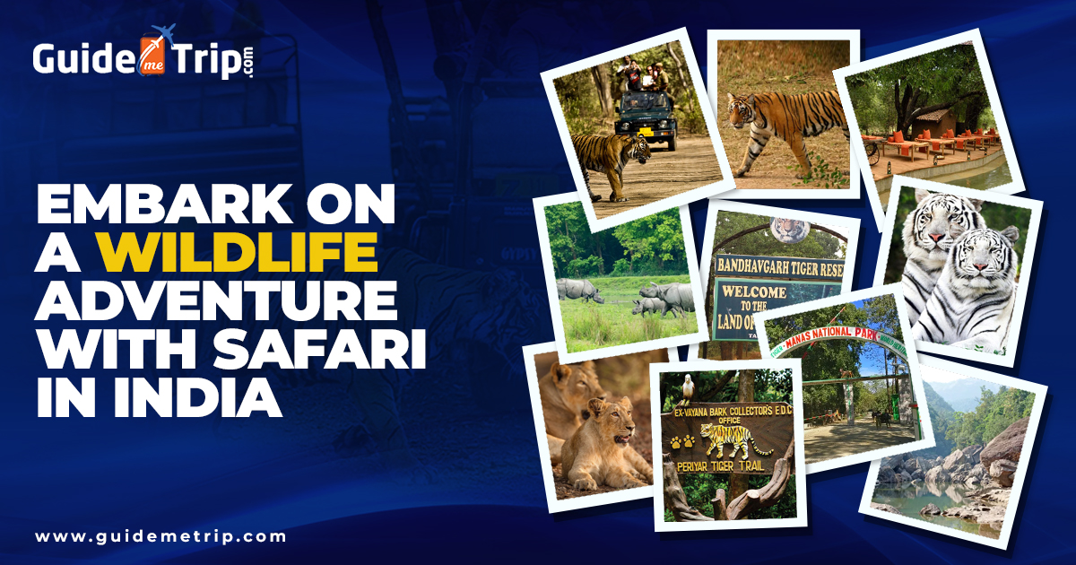 Plan Trip To Enjoy Adventurous Wildlife Safari in India Jungle 
