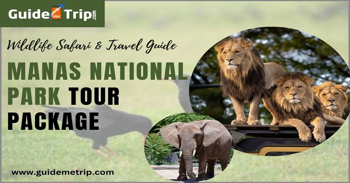 Manas National Park Travel Guide: Safaris, Attractions & Tour Packages
